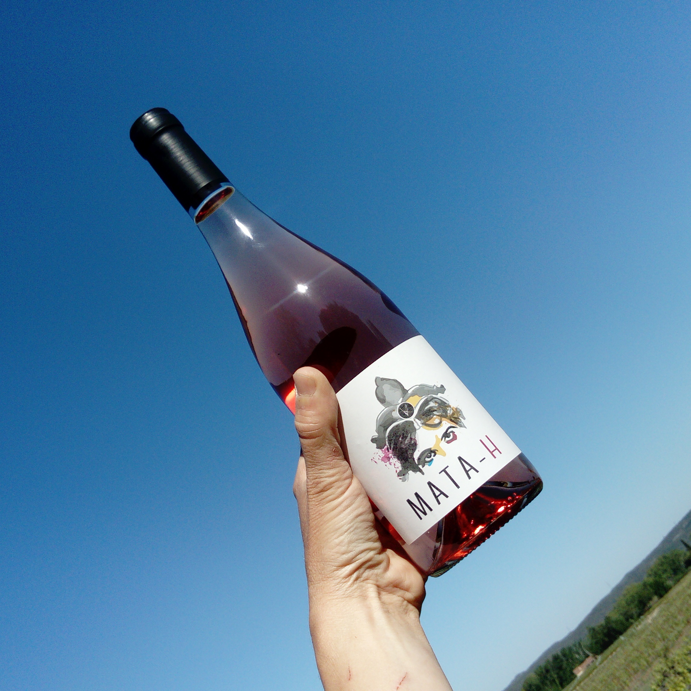 vin-mata-h-karsten-02