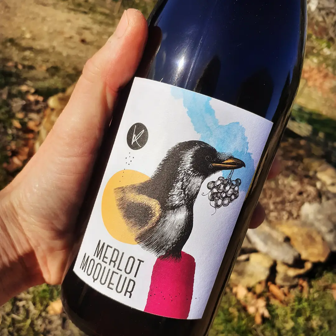 Merlot moqueur 2025 – Vin de France – Image 2