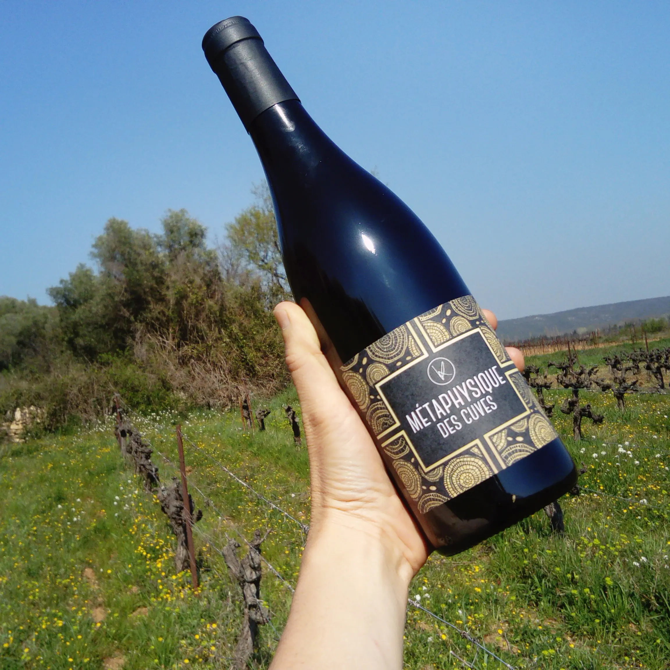 vin-metaphysique-des-cuves-karsten-02